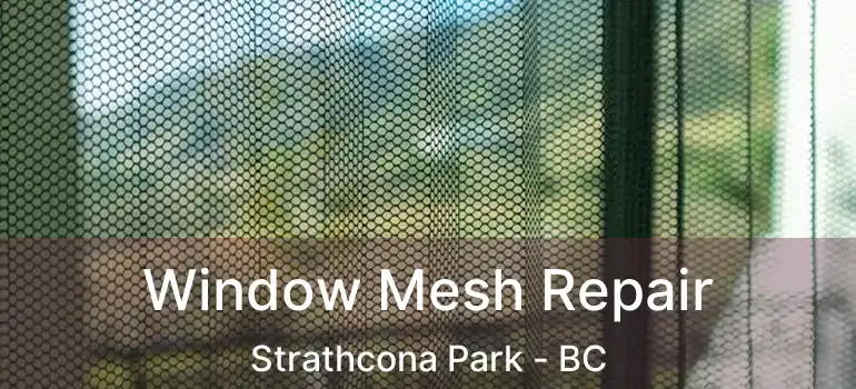  Window Mesh Repair Strathcona Park - BC