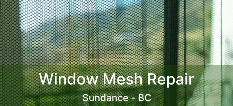 Window Mesh Repair Sundance - BC