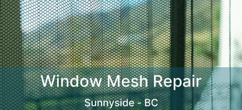  Window Mesh Repair Sunnyside - BC