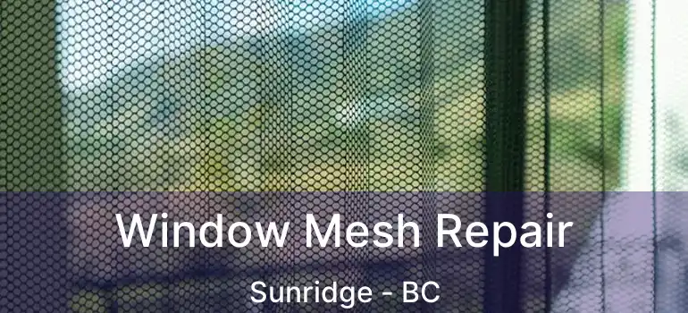  Window Mesh Repair Sunridge - BC