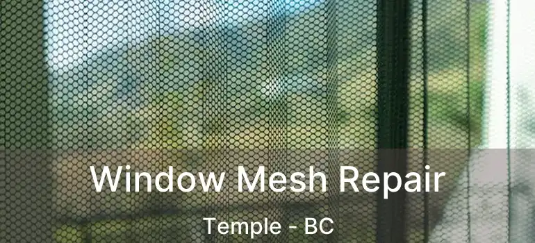  Window Mesh Repair Temple - BC