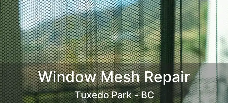  Window Mesh Repair Tuxedo Park - BC