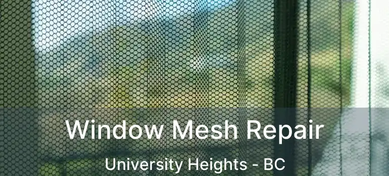  Window Mesh Repair University Heights - BC