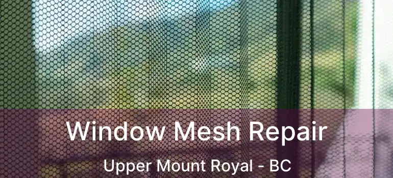  Window Mesh Repair Upper Mount Royal - BC