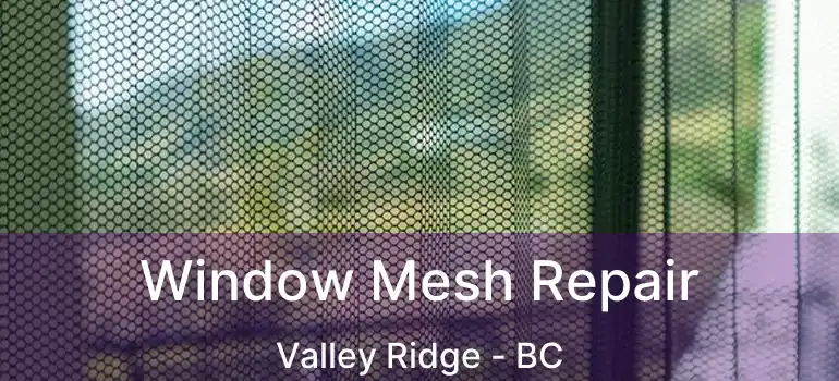  Window Mesh Repair Valley Ridge - BC