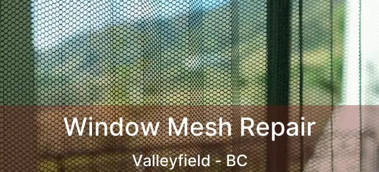  Window Mesh Repair Valleyfield - BC