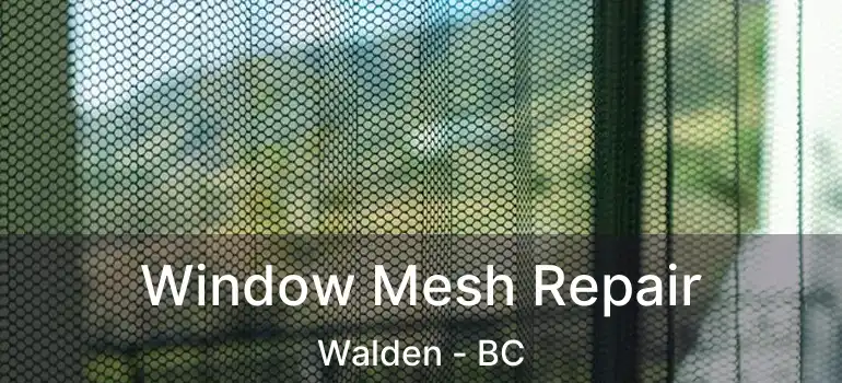  Window Mesh Repair Walden - BC