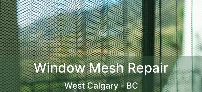  Window Mesh Repair West Calgary - BC