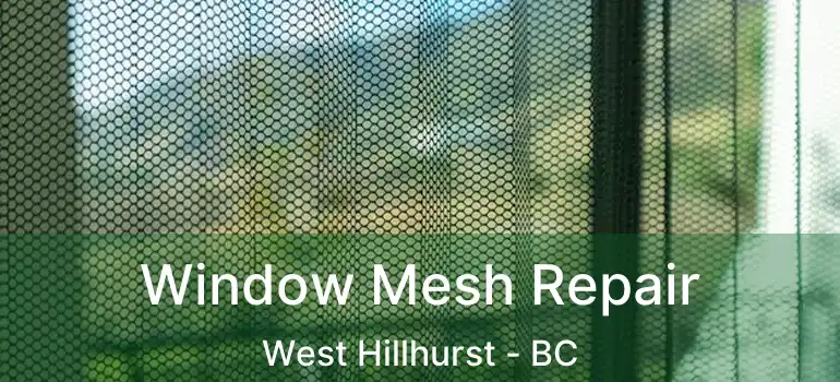  Window Mesh Repair West Hillhurst - BC