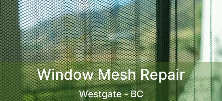  Window Mesh Repair Westgate - BC
