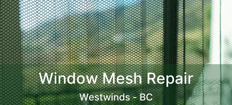  Window Mesh Repair Westwinds - BC