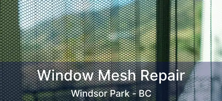  Window Mesh Repair Windsor Park - BC