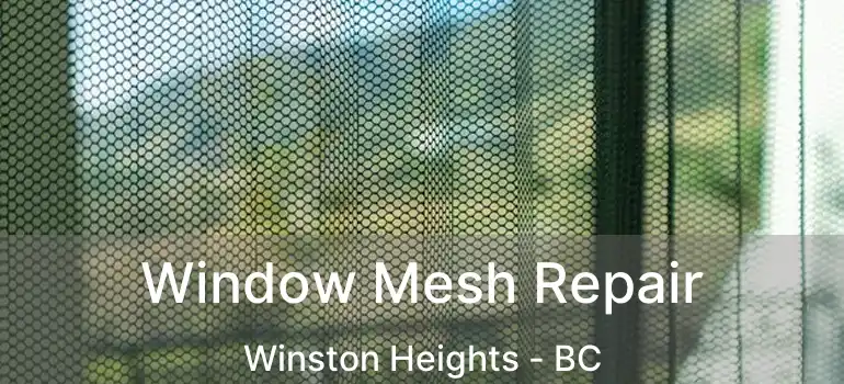  Window Mesh Repair Winston Heights - BC