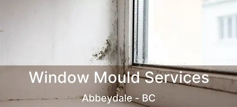  Window Mould Services Abbeydale - BC