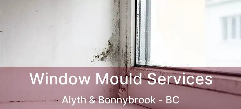  Window Mould Services Alyth & Bonnybrook - BC