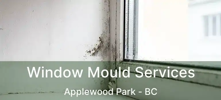  Window Mould Services Applewood Park - BC