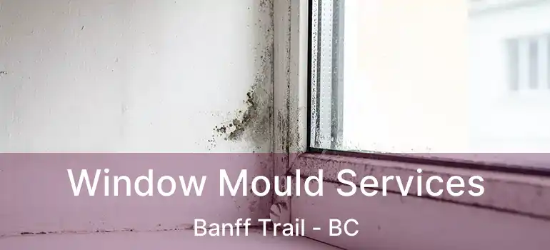  Window Mould Services Banff Trail - BC