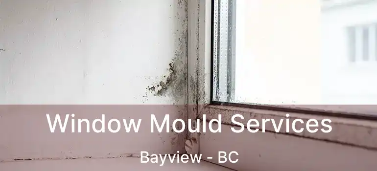  Window Mould Services Bayview - BC