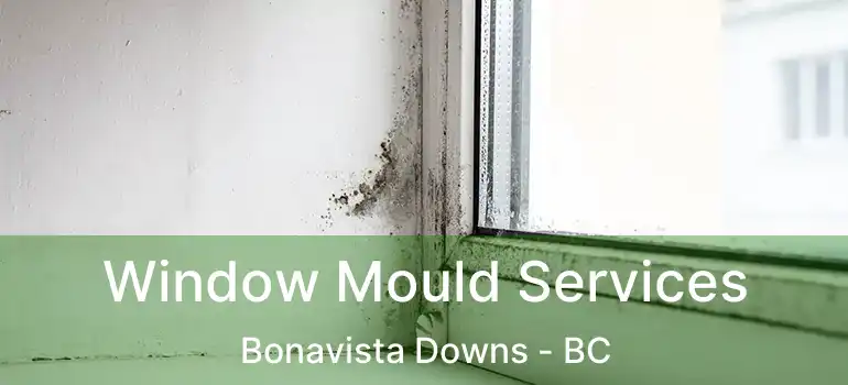  Window Mould Services Bonavista Downs - BC