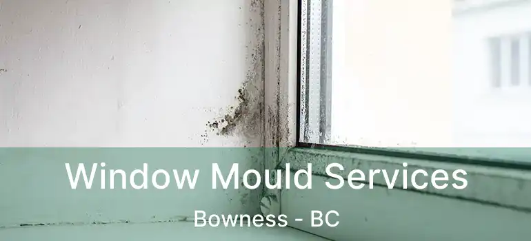  Window Mould Services Bowness - BC