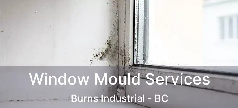  Window Mould Services Burns Industrial - BC