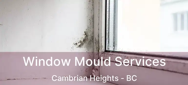  Window Mould Services Cambrian Heights - BC