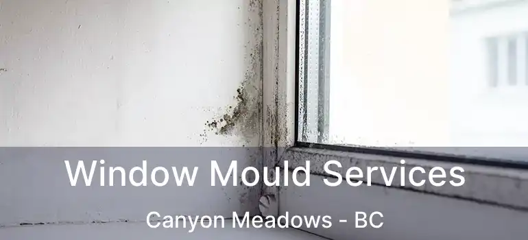  Window Mould Services Canyon Meadows - BC