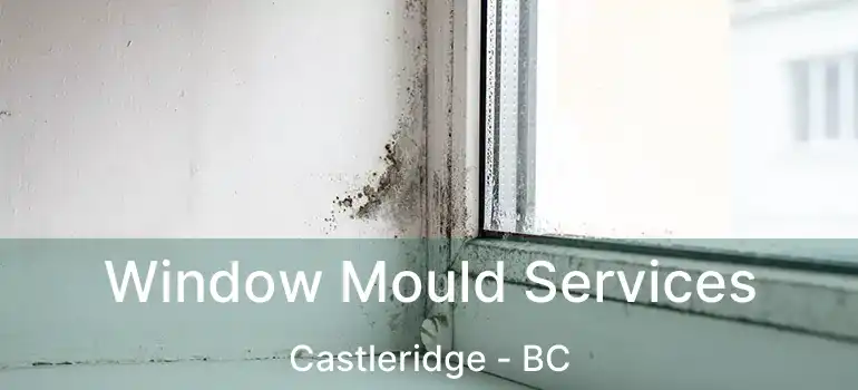  Window Mould Services Castleridge - BC