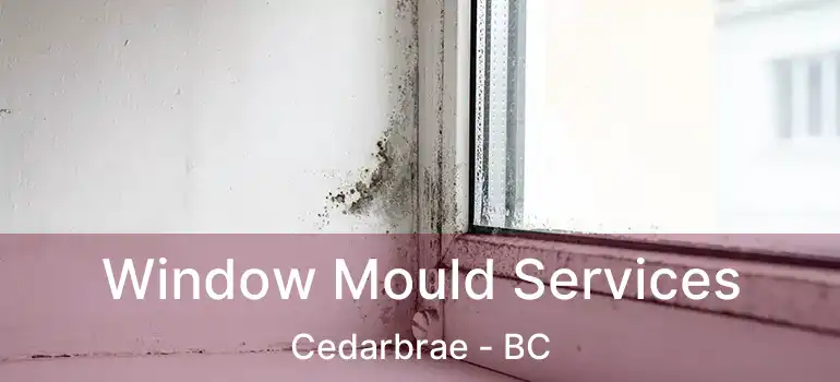  Window Mould Services Cedarbrae - BC