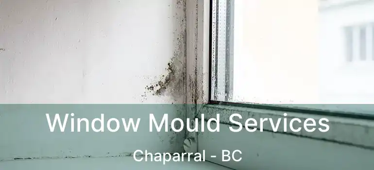  Window Mould Services Chaparral - BC