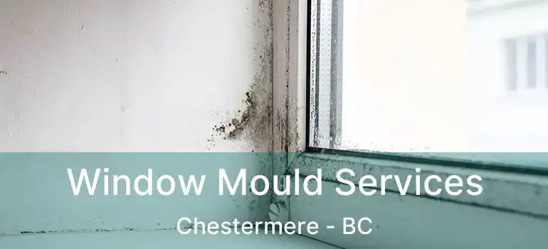  Window Mould Services Chestermere - BC