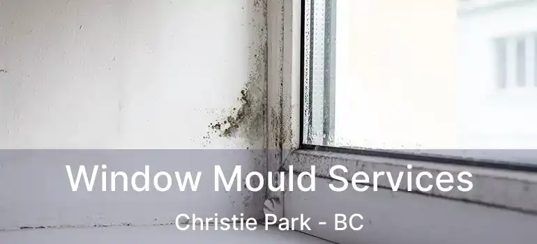  Window Mould Services Christie Park - BC