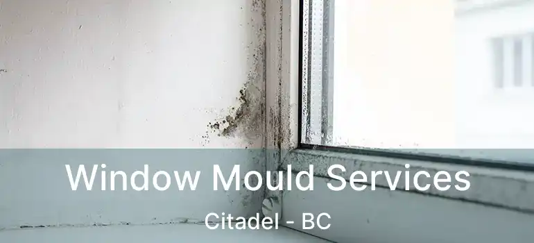  Window Mould Services Citadel - BC
