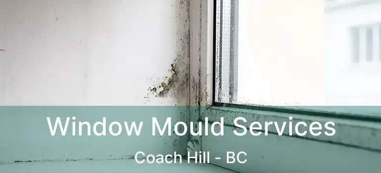  Window Mould Services Coach Hill - BC
