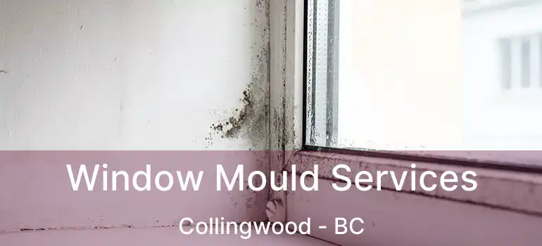  Window Mould Services Collingwood - BC