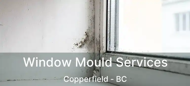  Window Mould Services Copperfield - BC