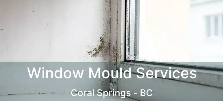  Window Mould Services Coral Springs - BC
