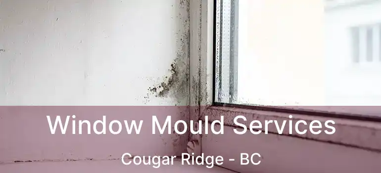  Window Mould Services Cougar Ridge - BC