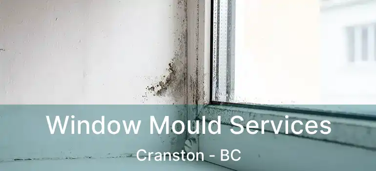  Window Mould Services Cranston - BC