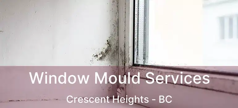  Window Mould Services Crescent Heights - BC