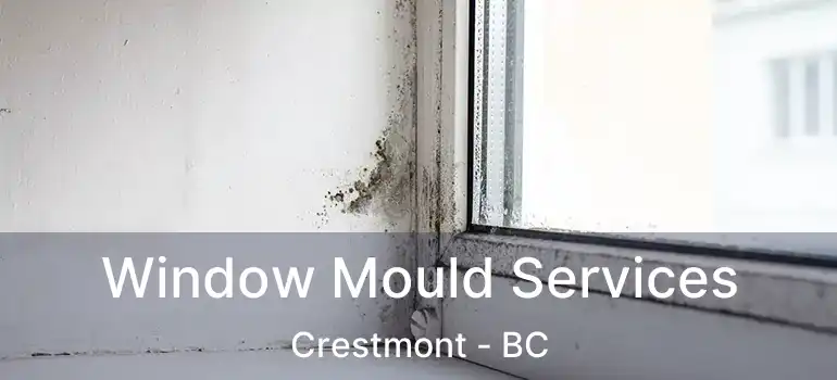  Window Mould Services Crestmont - BC