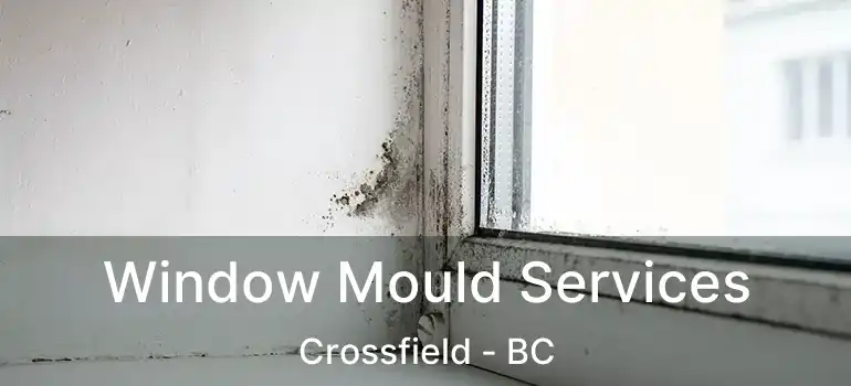  Window Mould Services Crossfield - BC