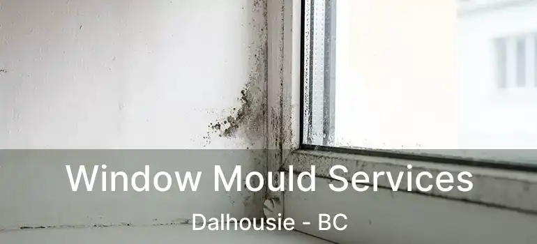  Window Mould Services Dalhousie - BC