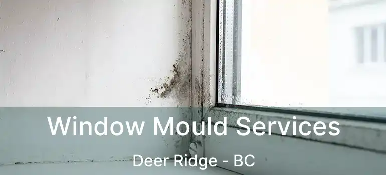  Window Mould Services Deer Ridge - BC