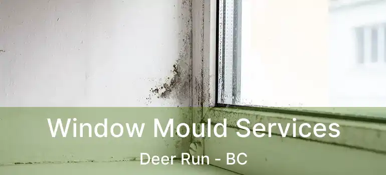  Window Mould Services Deer Run - BC