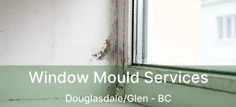  Window Mould Services Douglasdale/Glen - BC
