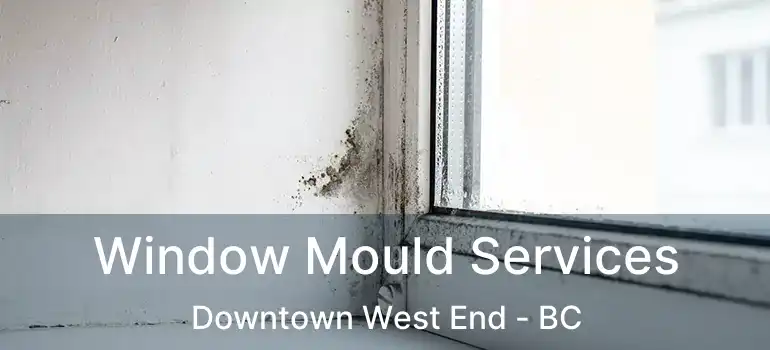  Window Mould Services Downtown West End - BC