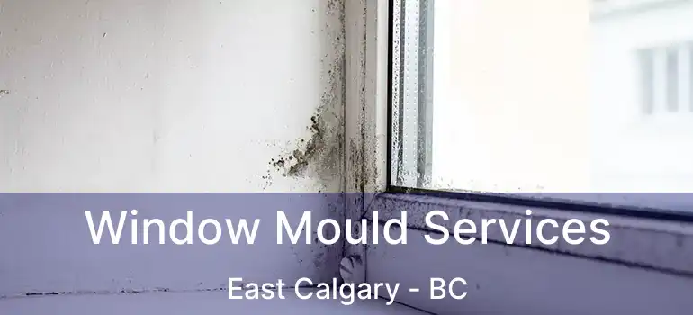  Window Mould Services East Calgary - BC