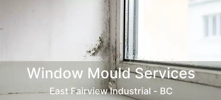  Window Mould Services East Fairview Industrial - BC