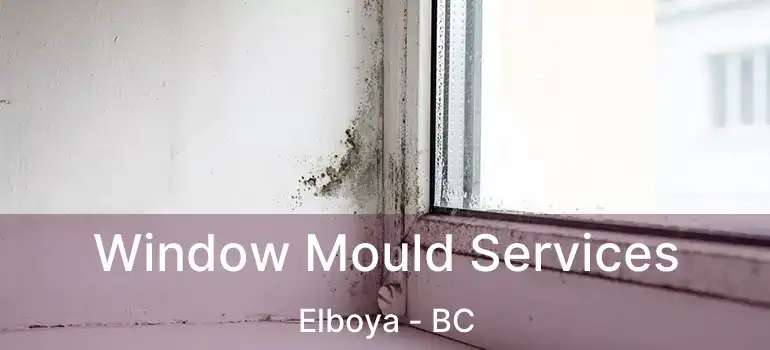  Window Mould Services Elboya - BC